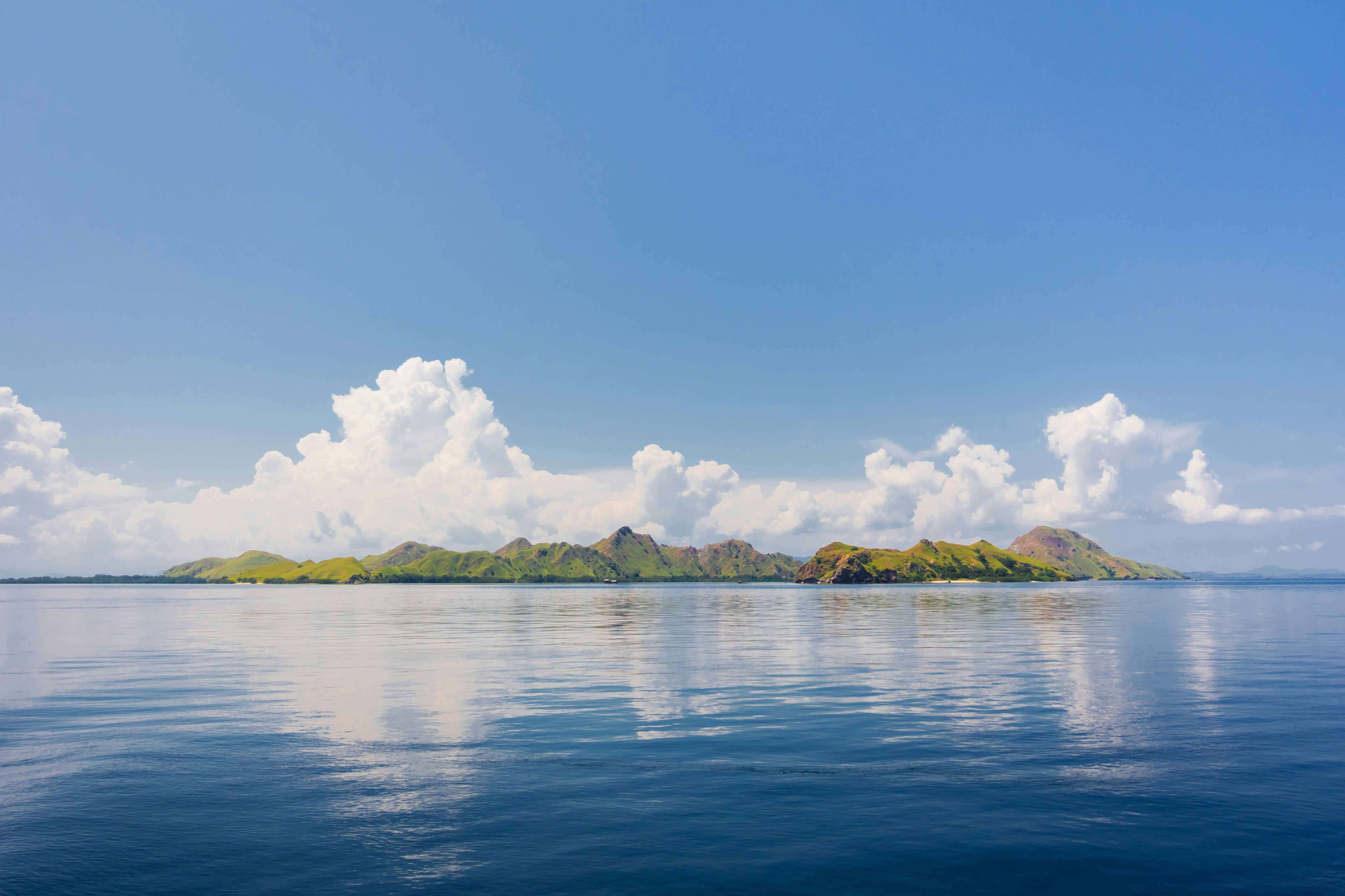 green trees beside body of water under blue sky during daytime